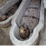 Info PLUS. Egjipt. Zbulohet fragment i “Iliadës” brenda një mumie