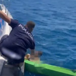 Probleme me mjetet lundruese, Policia shpëton nëntë turistë të huaj në Himarë dhe Ksamil